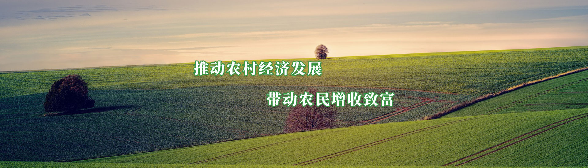 公海彩船6600(中国游)官方网站