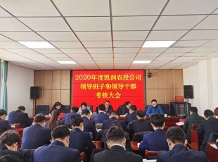 公海彩船6600 召开2020年度向导班子和向导干部审核大会