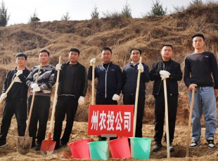 公海彩船6600加入2021年春季义务植树活动